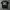 Affliction,tapout mma elite extrem couture,emo grunge,haraju photo 1