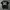 Affliction,tapout Mma Elite Extrem Couture,emo Grunge,haraju