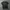 Affliction,tapout mma elite extrem couture,emo grunge,haraju photo 7