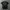 Affliction,tapout mma elite extrem couture,emo grunge,haraju photo 1