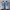 Sportswear Casual Sneakers Pria blue gray photo 4