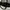 Calvin Klein handbag 2022  photo 7