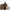 Burghscott Work Jacket Sherpa Layer