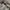 ad studio sherpa layer photo 2
