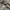 Ad Studio Sherpa Layer