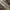Vintage Streetwear Pria cream photo 2
