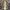 Vintage Streetwear Pria cream photo 1
