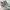Asics Sportswear Sneakers Wanita green photo 4