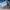 Adidas Forum Low cl photo 2