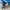Adidas Forum Low cl photo 1