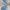 Adidas Forum Low cl photo 3