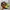 Nike Air Max Plus TN Black Volt Solar Red photo 2