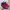 Nike Air Max Plus TN Rebellious Air photo 2
