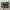 Nike Air Max Plus TN Rebellious Air photo 6