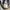 Stussy polham essential photo 4