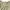 Authentic axes femme Lacy knitt top ivory bow  photo 3