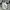 Nike Casual Casual shirt Pria gray photo 4