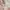 Coach Luxury Casual Handbag Wanita tan pink photo 5