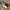 Adidas Ultraboost 23 Light Core black White photo 2