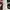 MaxMara Y2K Blouse Wanita multicolor photo 5