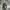 vintage n3b parka cold weather not avirex,m65,alpha industri photo 7