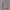 H&M Streetwear Minimalist Sweatshirt Kids green photo 1