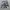 Airwalk camouflage cargo pant photo 1
