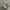 Nike Air Zoom Vomero 5 Pure Platinum Summit White photo 2