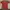 Casual Watch Kids red photo 1