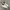 Adidas Vintage Casual Sneakers Wanita white black photo 1