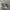 Converse Chuck Taylor All Star 1970 High Field Surplus Egret photo 1