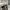 Converse Chuck Taylor All Star 1970 High Field Surplus Egret photo 6