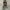 Converse Chuck Taylor All Star 1970 High Field Surplus Egret photo 4