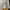 SKINCARE AMPOULE SKIN1004 photo 1