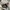 Converse Chuck Taylor All Star 70S High Recycled Canvas Deep photo 6