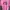 Casual T-shirt Pria pink photo 1