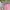 Jacket winter tebal sherpa anak perempuan tenonet super cake photo 2
