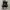 Converse Chuck Taylor All Star 70S High Black White photo 4