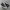 Converse Chuck Taylor All Star 70S High Black White photo 1