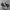 Converse Chuck Taylor All Star 70S High Black White