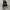 Converse Chuck Taylor All Star 70S High Black White photo 4