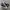 Converse Chuck Taylor All Star 70S High Black White photo 1