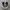 Converse Chuck Taylor All Star 70S High Black White photo 2
