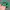 Vintage Streetwear Hat Pria green photo 5