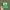Vintage Streetwear Hat Pria green photo 1