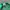 Vintage Streetwear Hat Pria green photo 4