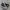 Converse Chuck Taylor All Star 70S High Black White photo 1
