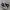 Converse Chuck Taylor All Star 70S High Black White
