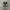 Converse Chuck Taylor All Star 70S High Black White photo 3