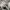 Converse Chuck Taylor All Star 70S High Black White photo 6